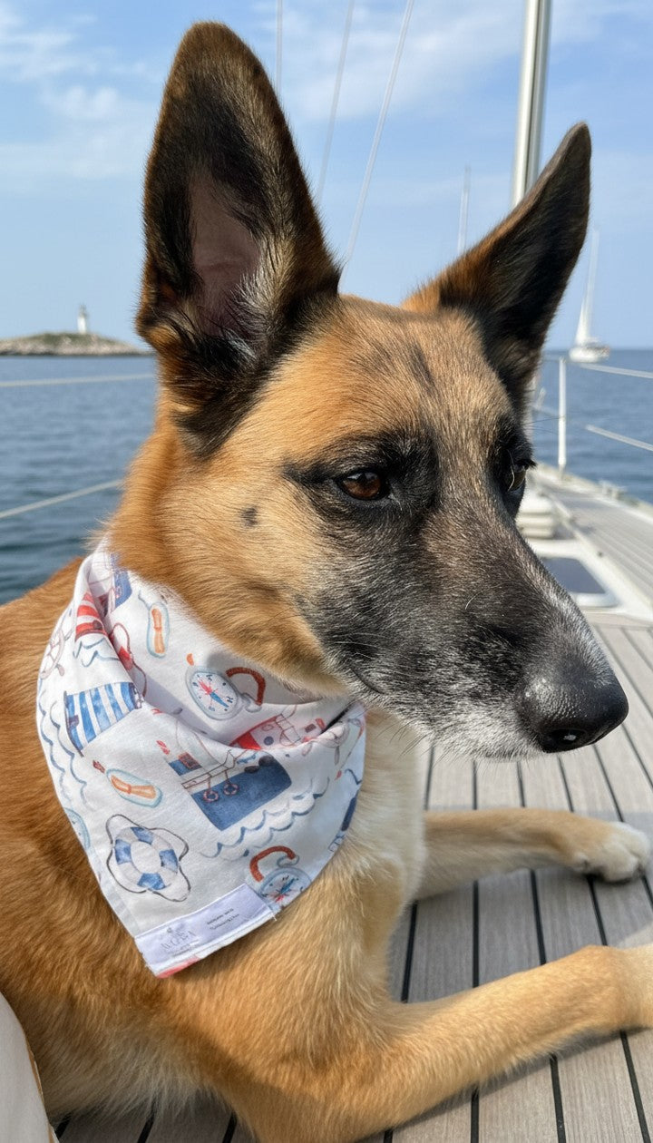 The Captain’s Log ⚓️