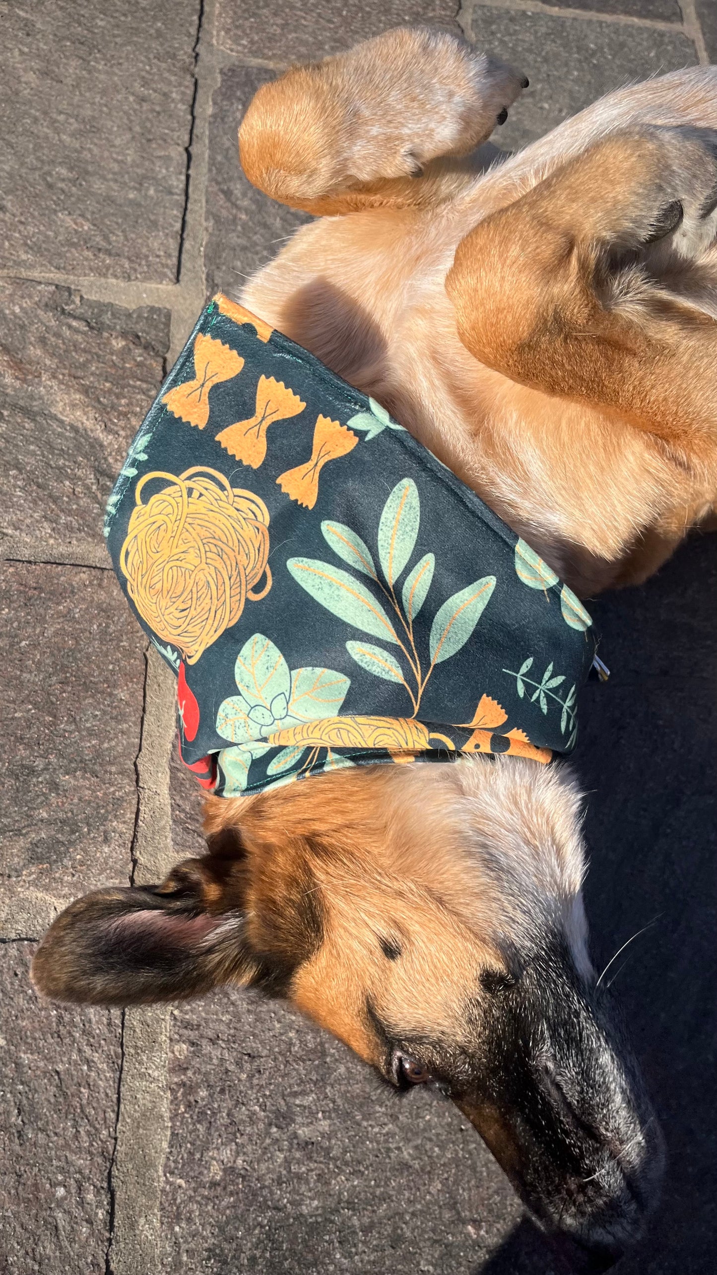 The Pasta Party 🍝