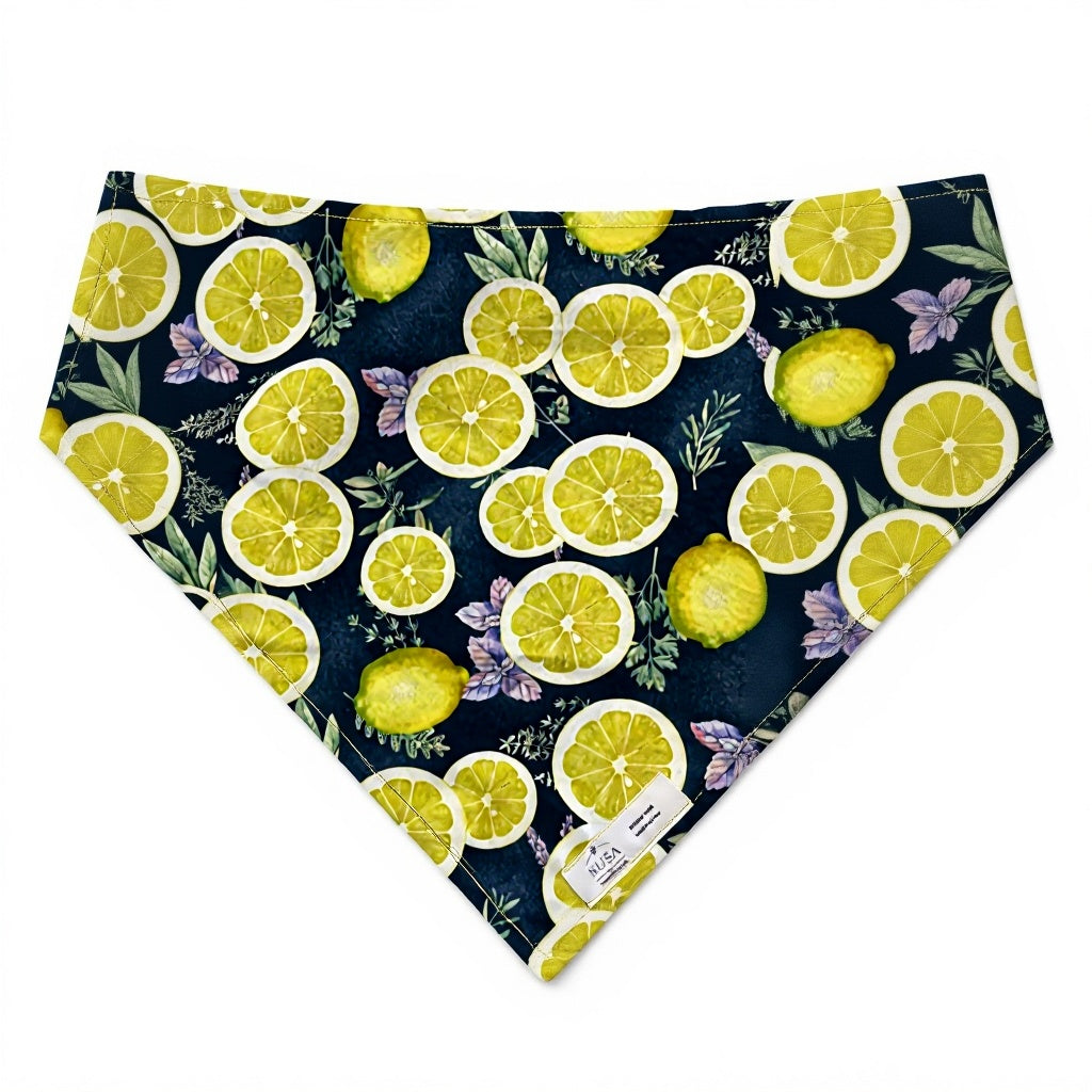 The Sorrento Zest 🍋